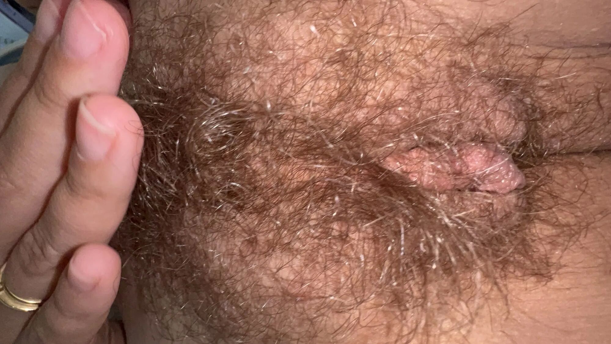 Wife exposed, hairy amateur wife posing and teasing - 19 Pics