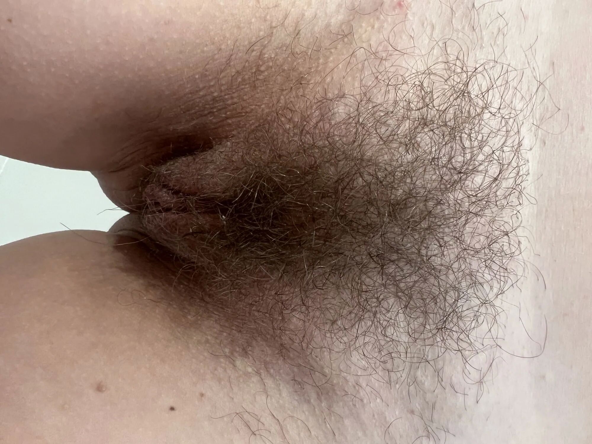 Wife exposed, hairy amateur wife posing and teasing - 19 Pics