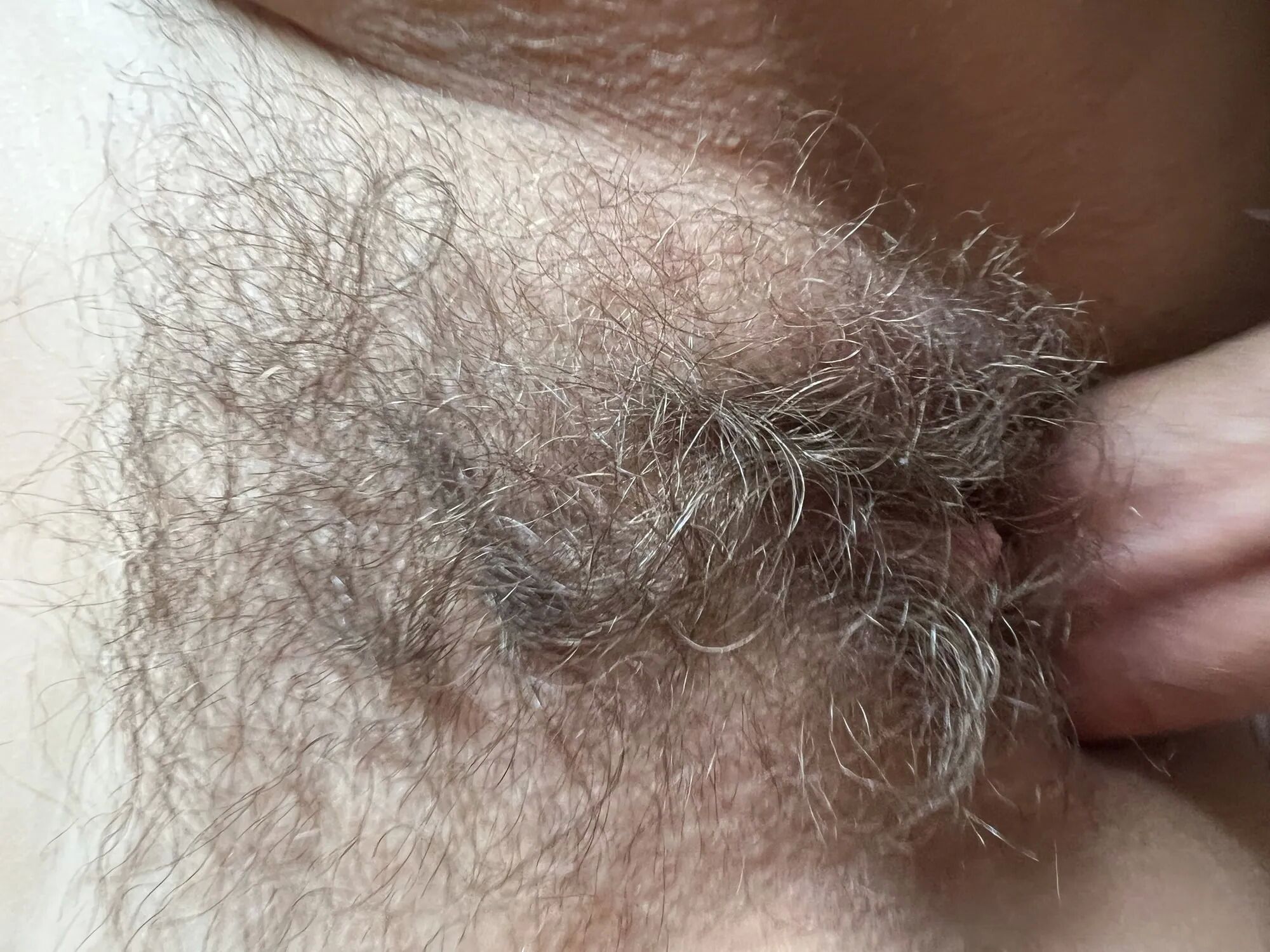 Wife exposed, hairy amateur wife posing and teasing - 19 Pics