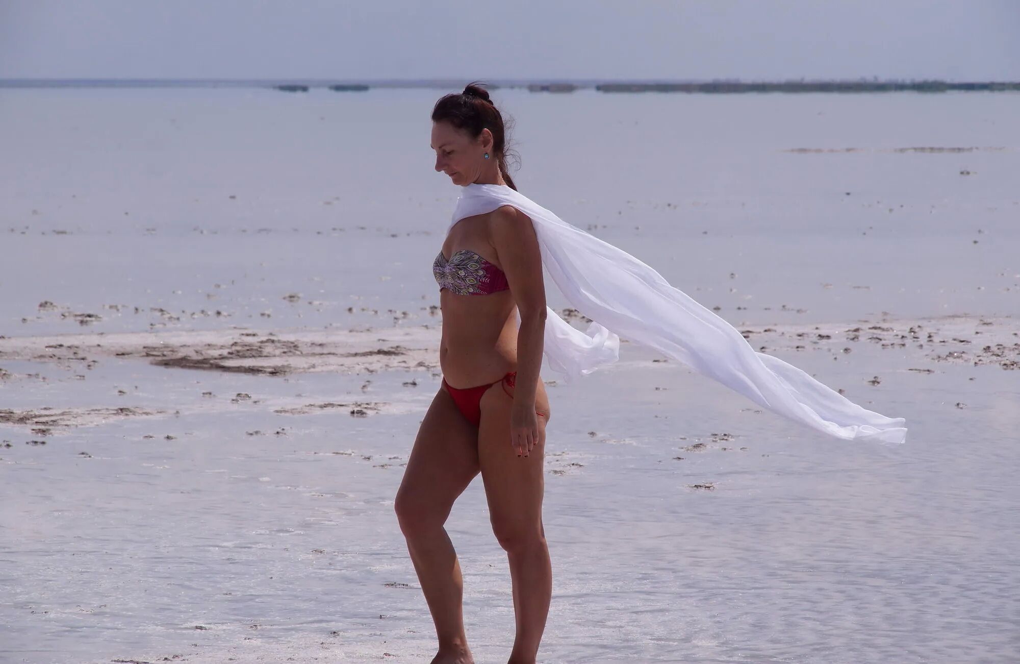 Whiter Shawl on Elton saltlake - 65 Pics