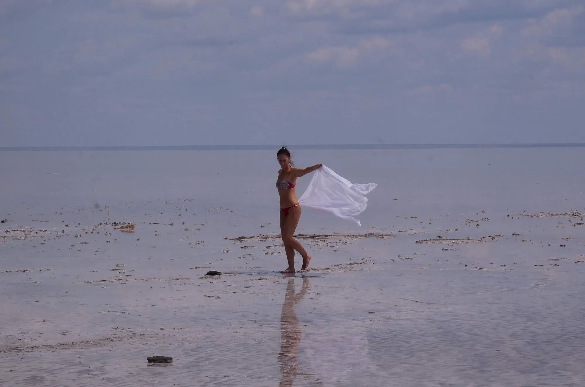 Whiter Shawl on Elton saltlake - 65 Pics