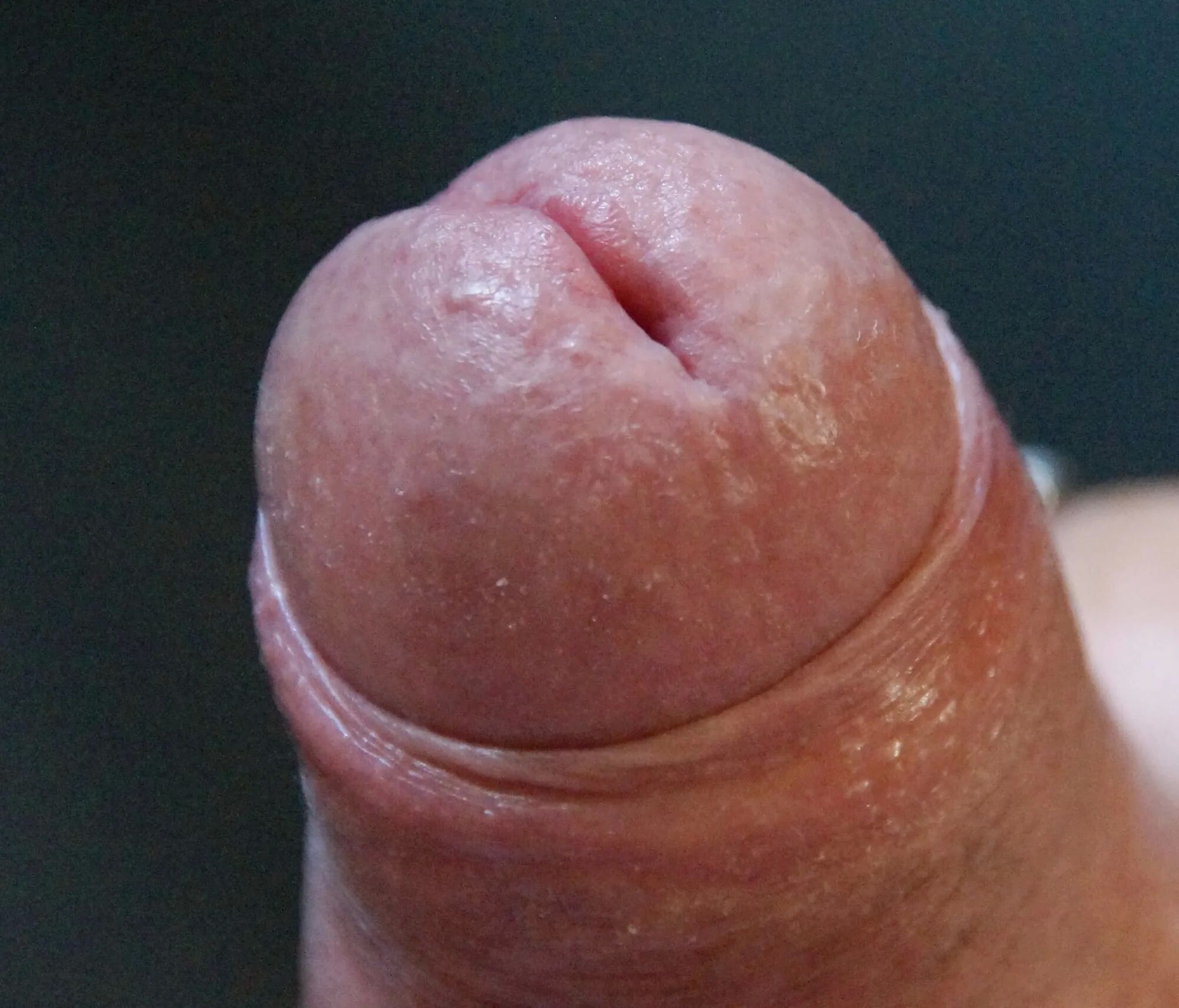 Another photo - 30 Pics