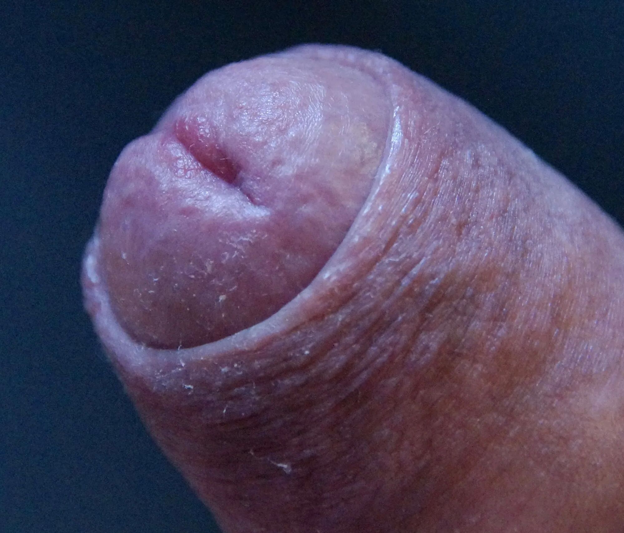 Another photo - 30 Pics