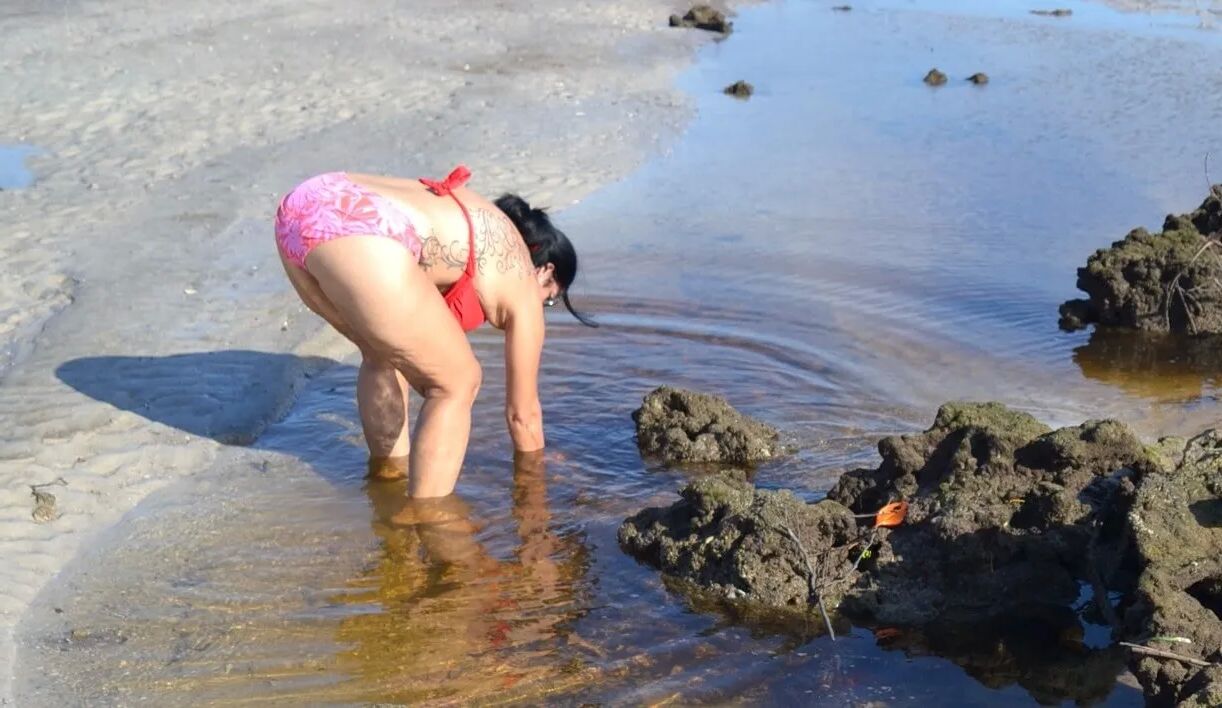 Fuck Toy at Beach - 53 Pics