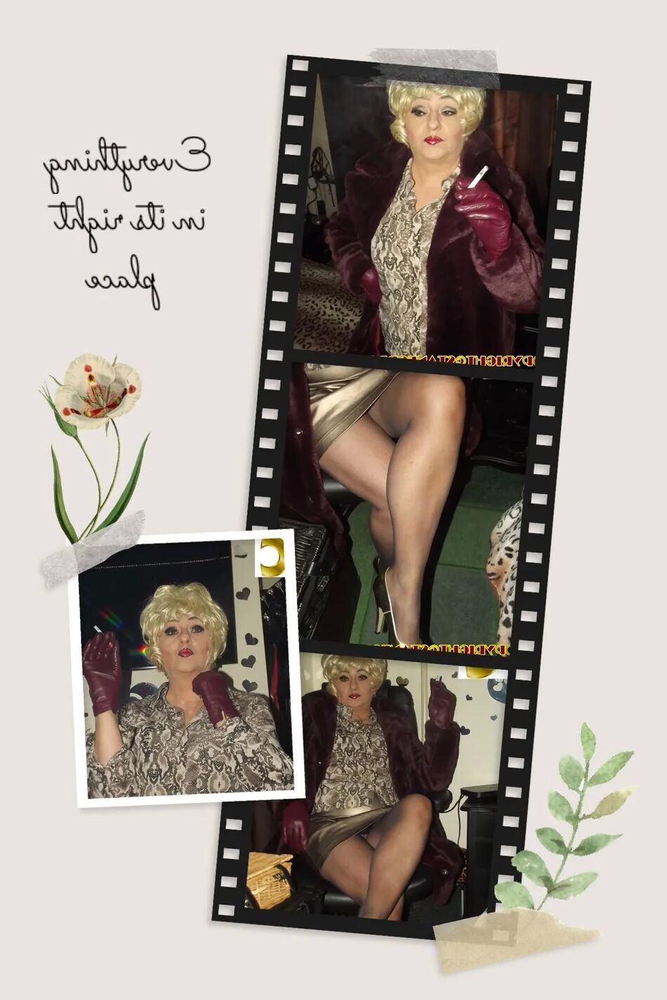 20 Pics FILMSTRIP PT 22