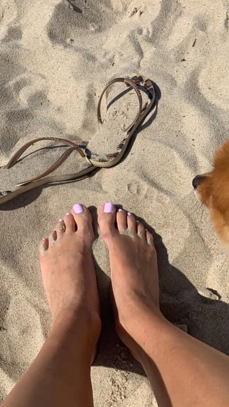 17 Pics foot fetish