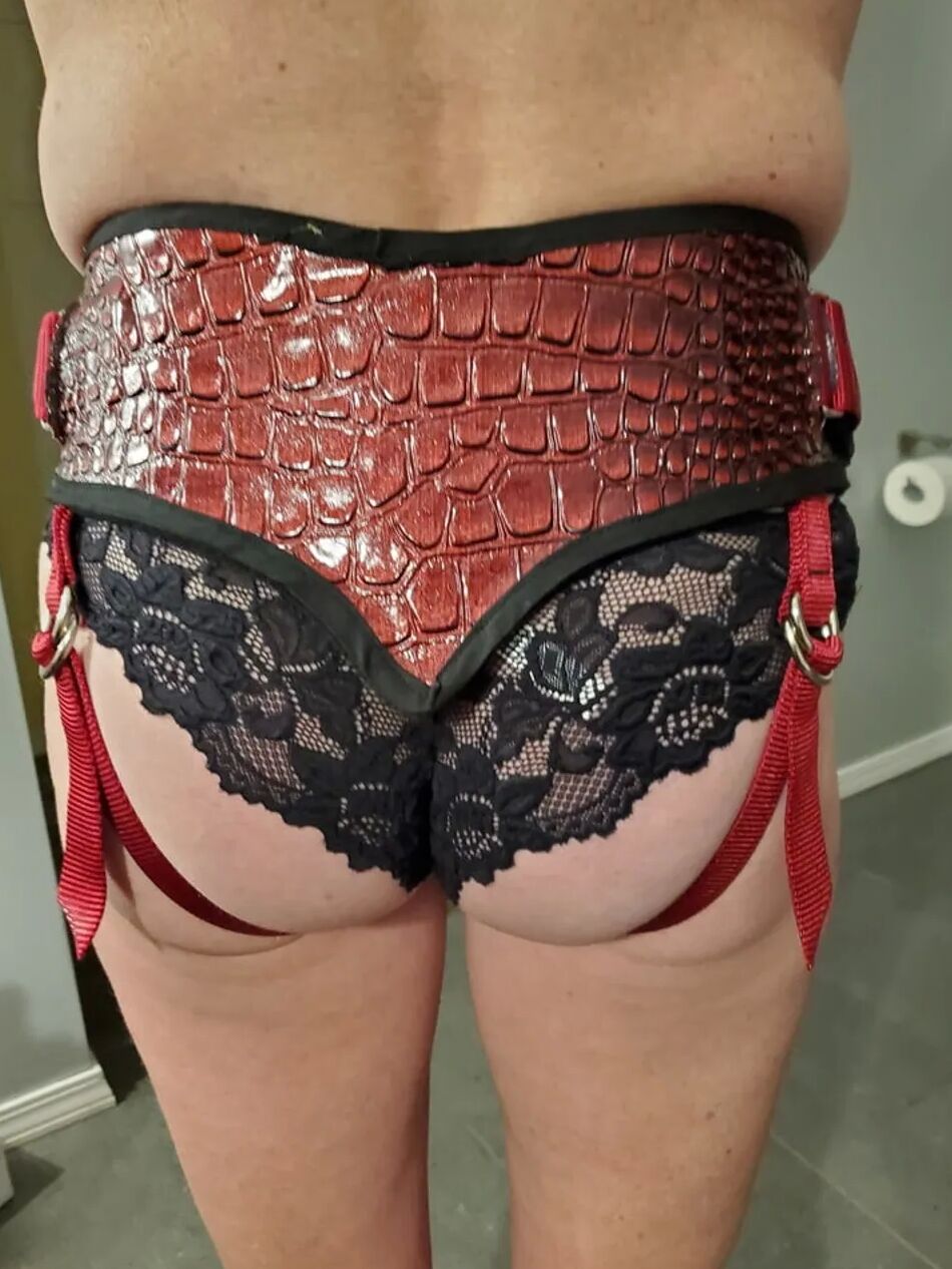 20 Pics Strap-on Harnesses