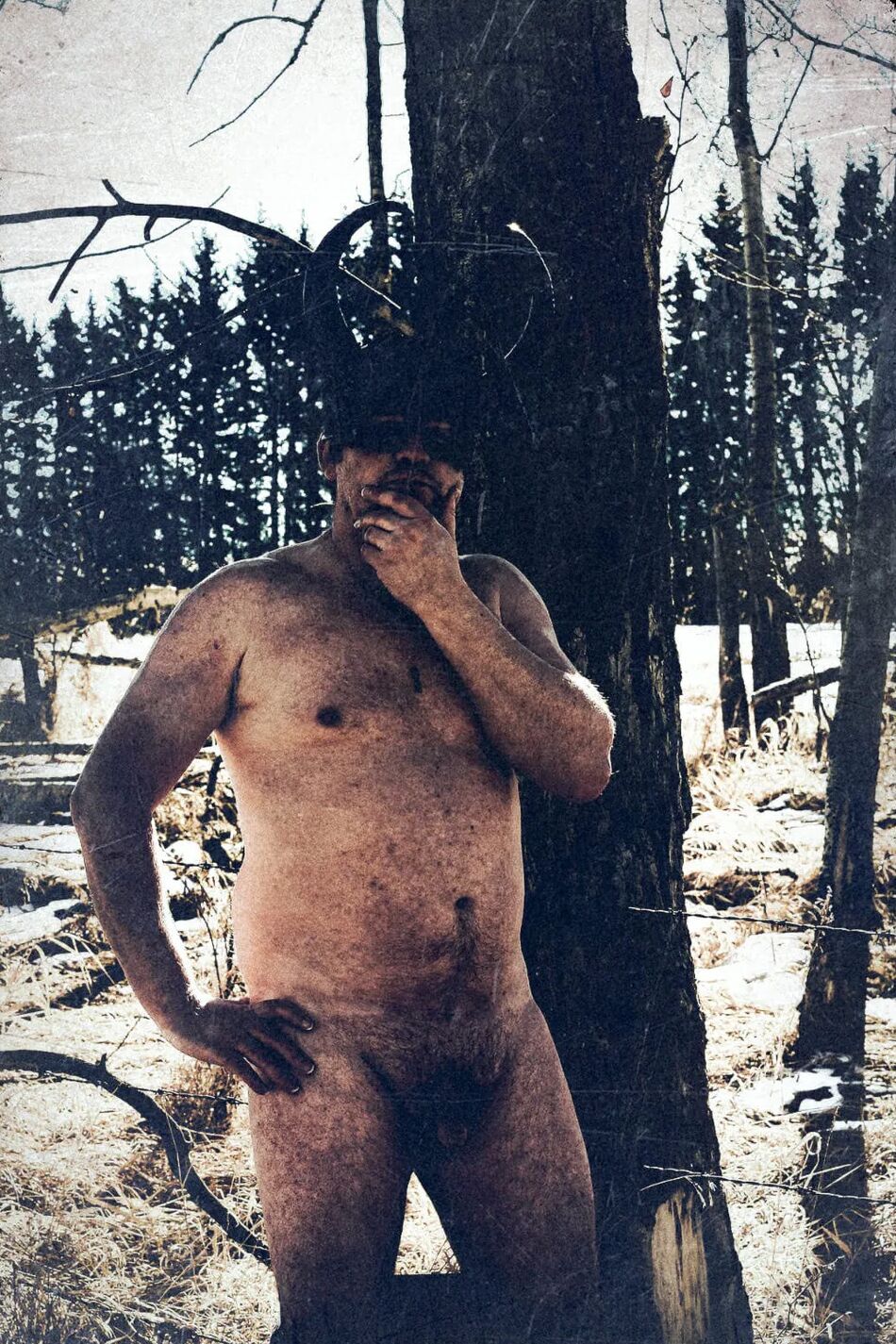 17 Pics In The Woods