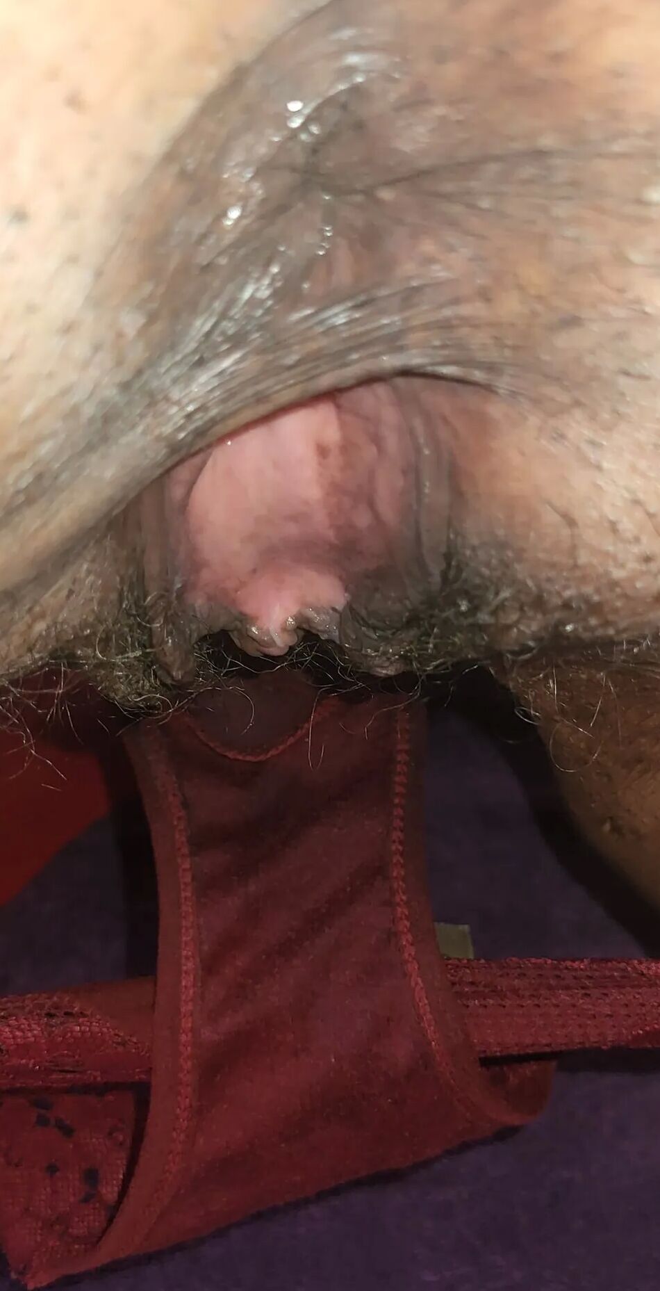 20 Pics Licking Pussy, Ass and Panty