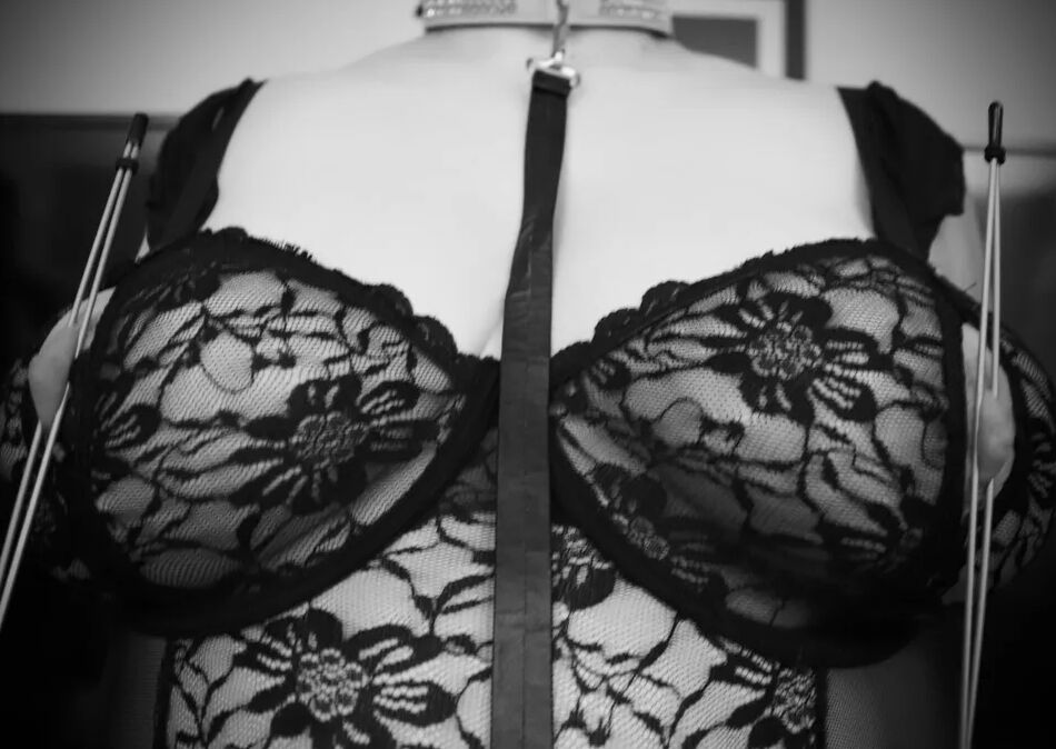 10 Pics Moment avec mon maitre