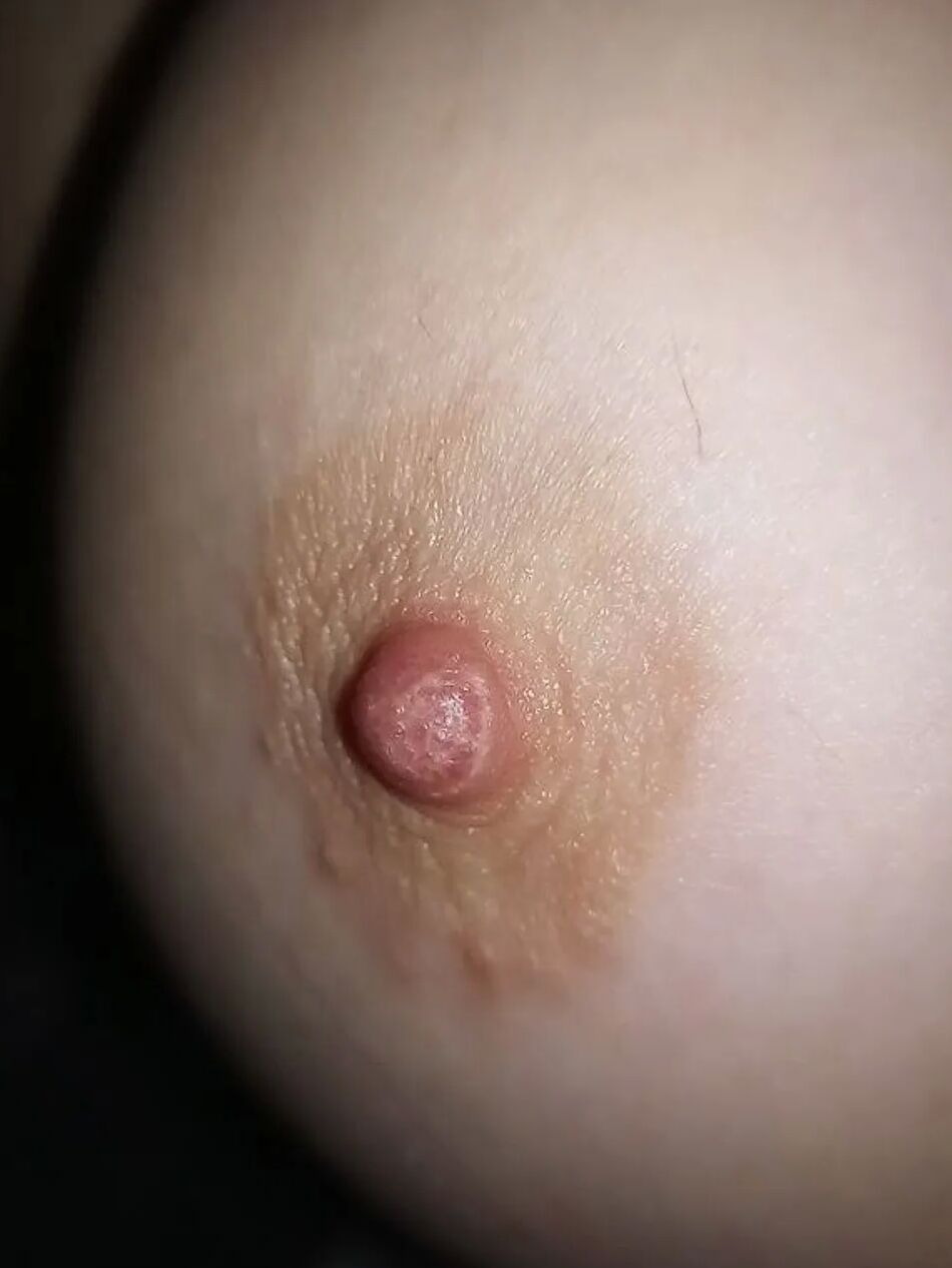 12 Pics Pussy