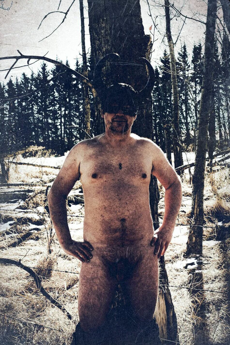17 Pics In The Woods