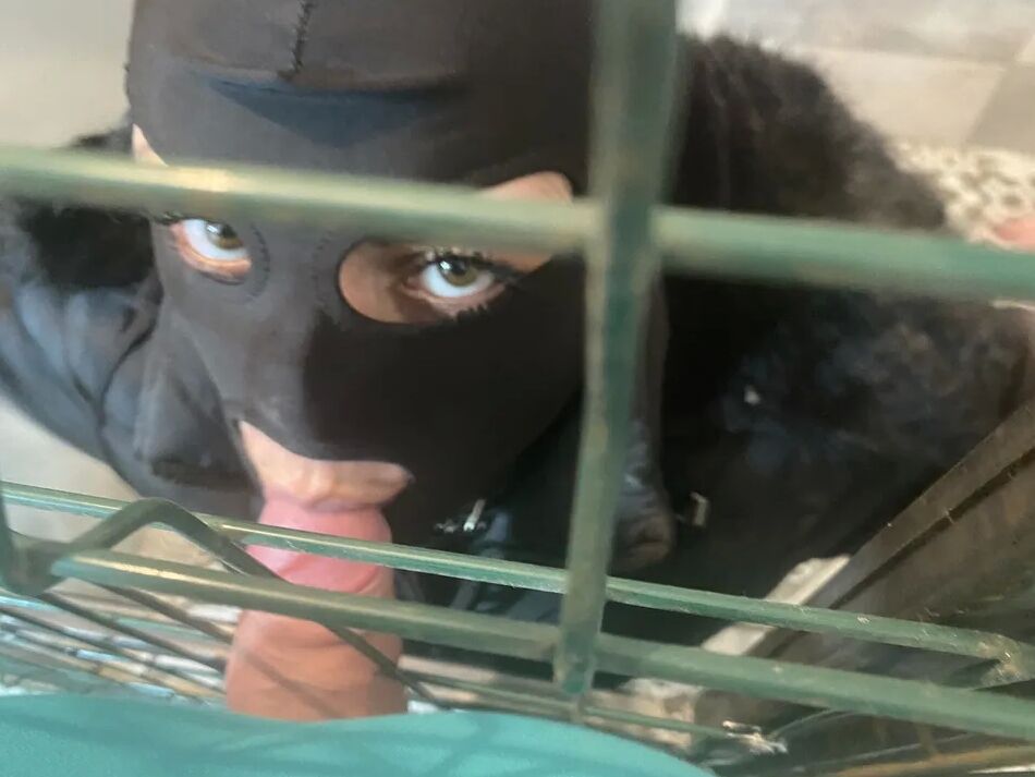 20 Pics Adventures of MilfyCalla ep 21 A bitch was traped