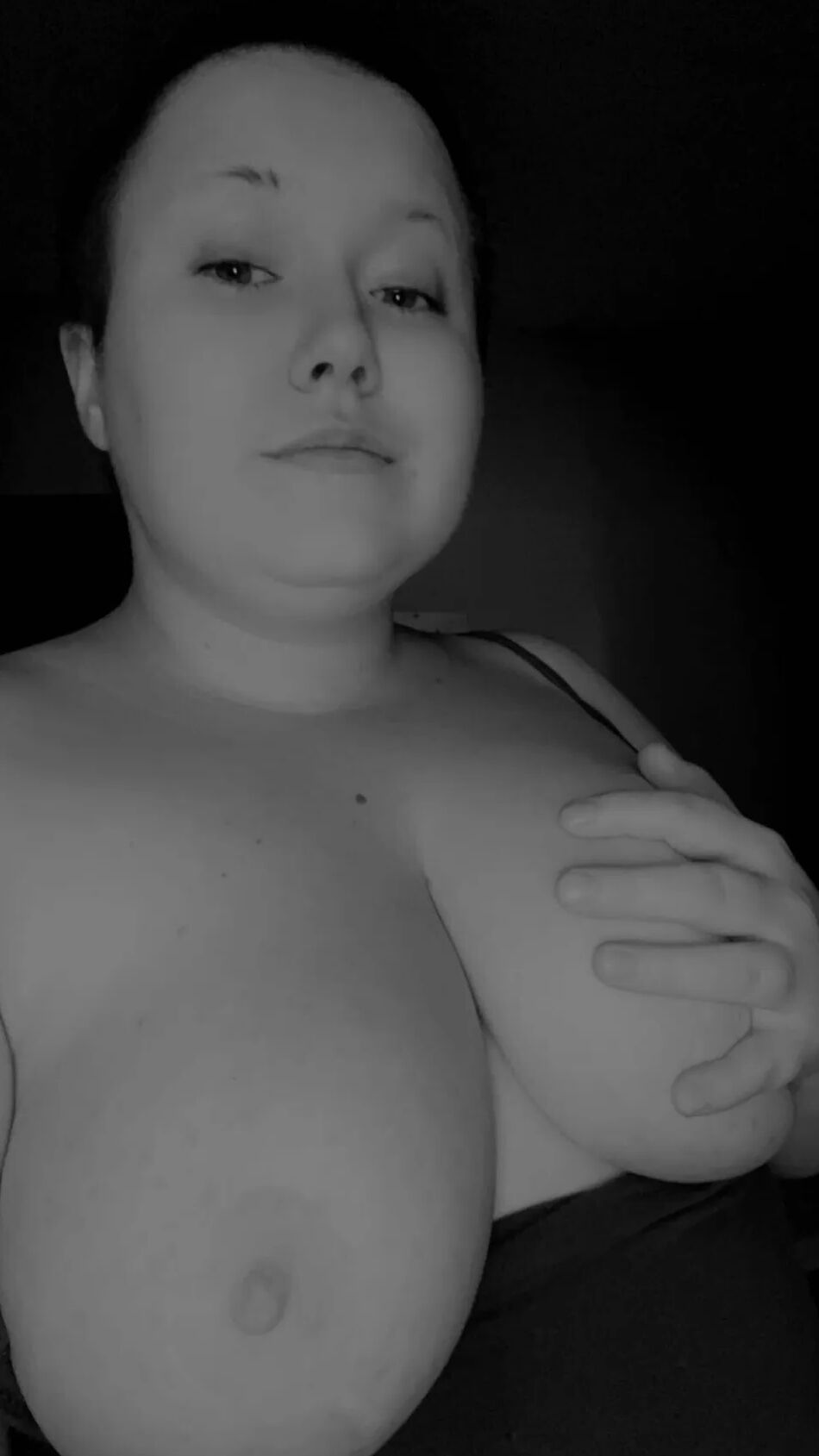 13 Pics Wetness of dark rose