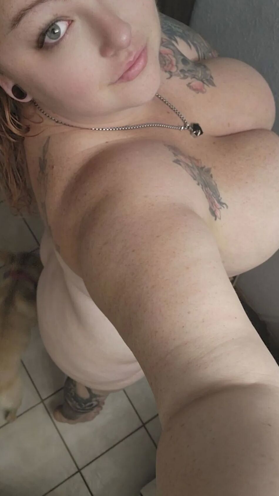 5 Pics Tink 88
