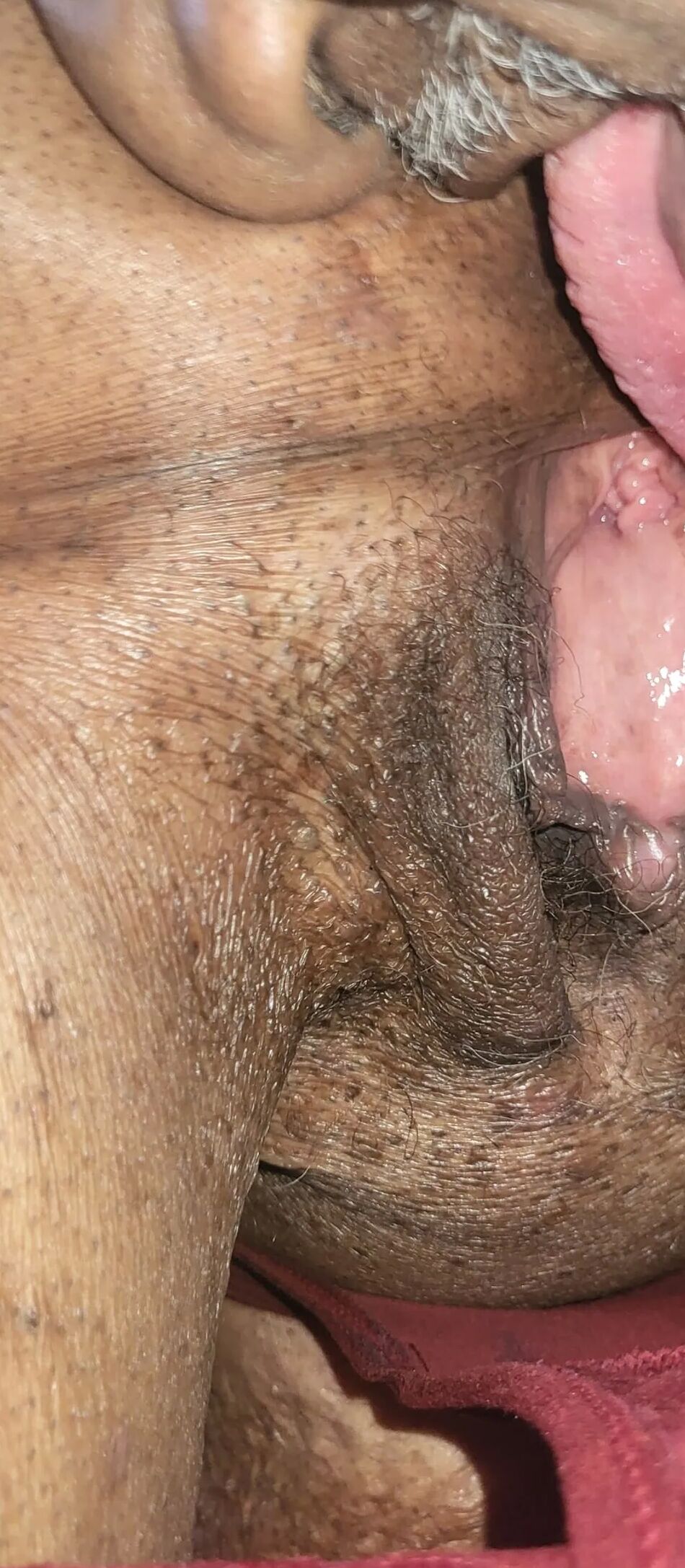 20 Pics Licking Pussy, Ass and Panty
