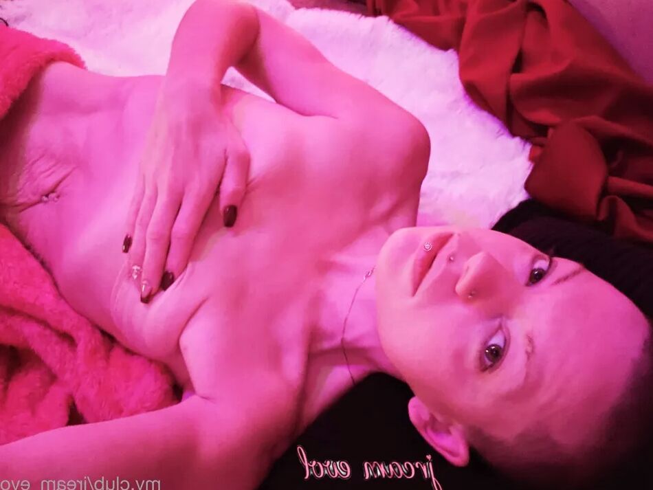 5 Pics Jream Evol Free Photos