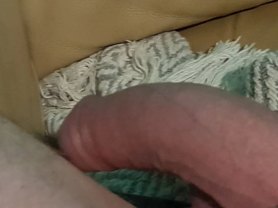 20 Pics my husband big nice cock he likes to have a dildo in his ass