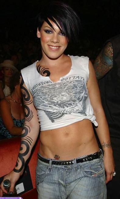 15P Lovely sexy singer Pink posing very hot
