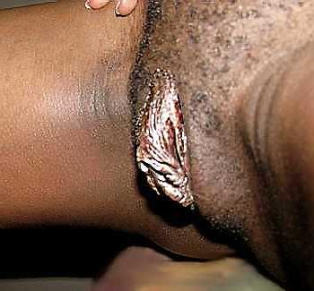7P Magnificent African Pussy #1