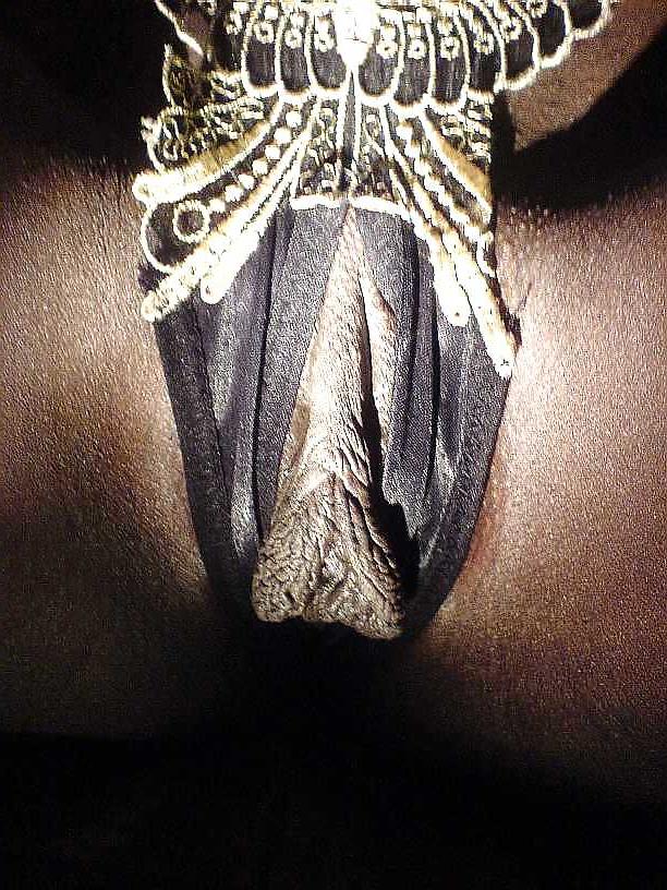 7P Magnificent African Pussy #1