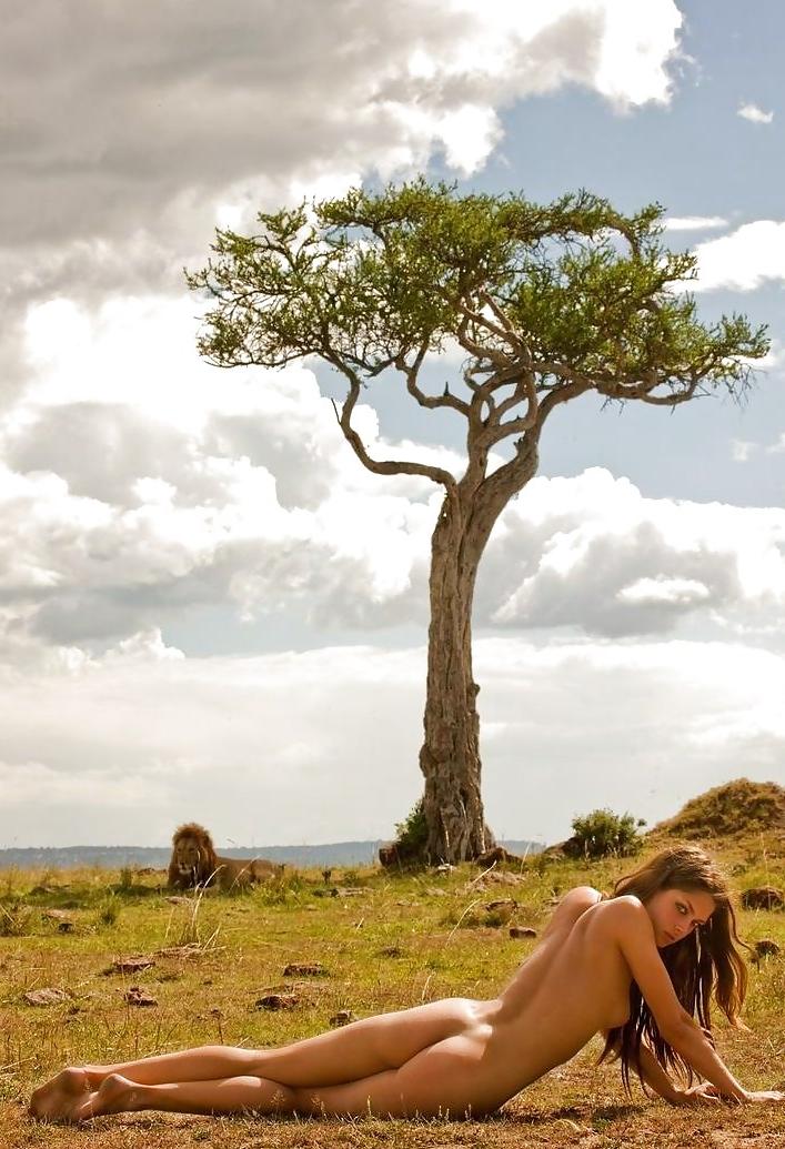 25P African Safari