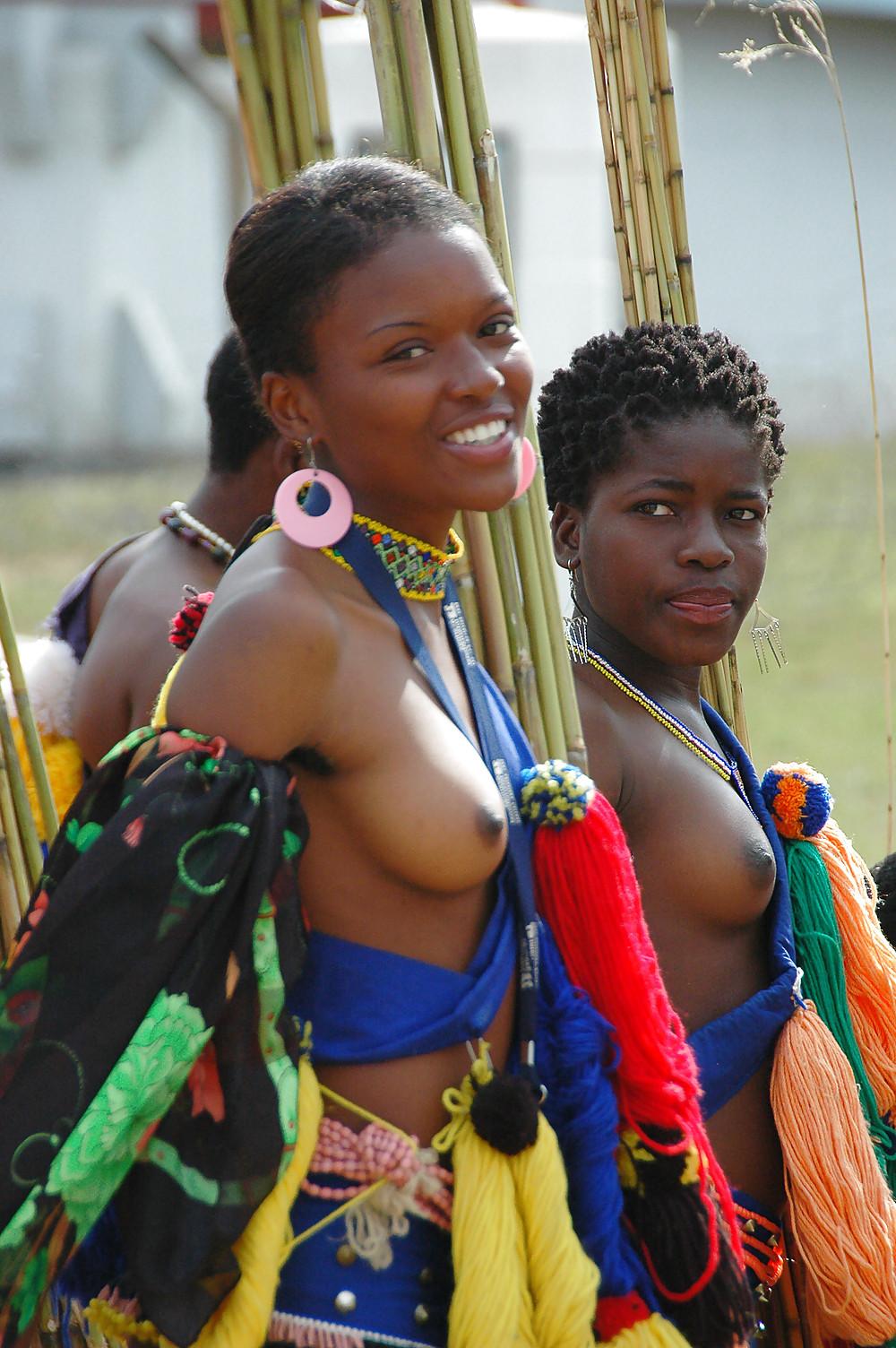 25P African Beauties 001