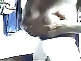 20P Africa cam