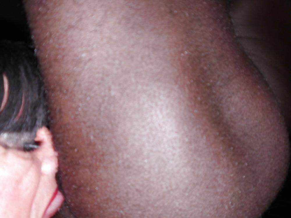 9P My African Stud