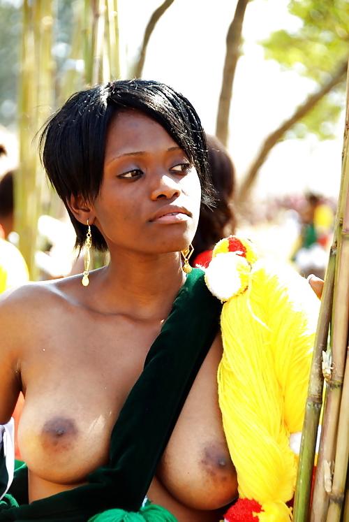 21P Beuaty African Tits