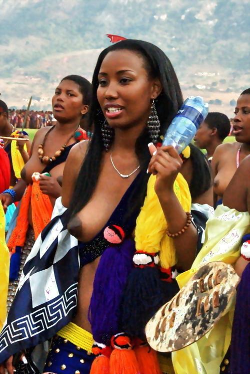 21P Beuaty African Tits