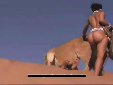 4P African Booty
