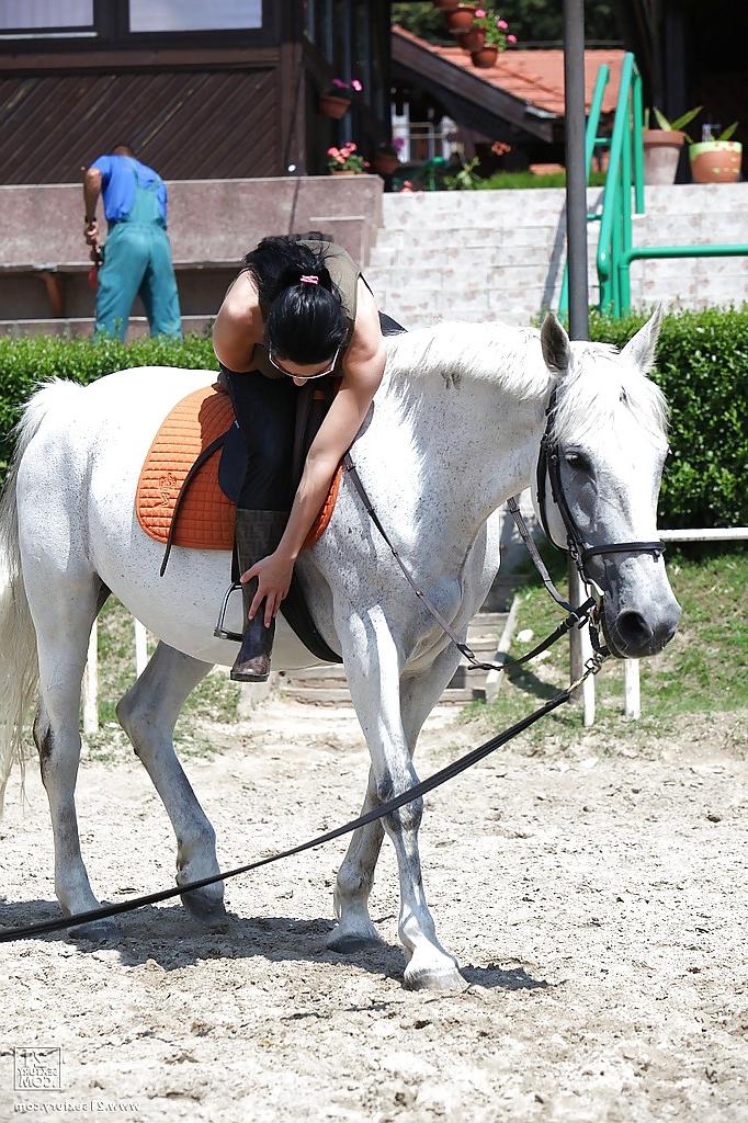 16P Pornstar Aletta Ocean is riding a horse outdoor in glasses