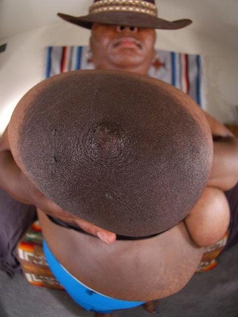 12P Big breasted black babes photos