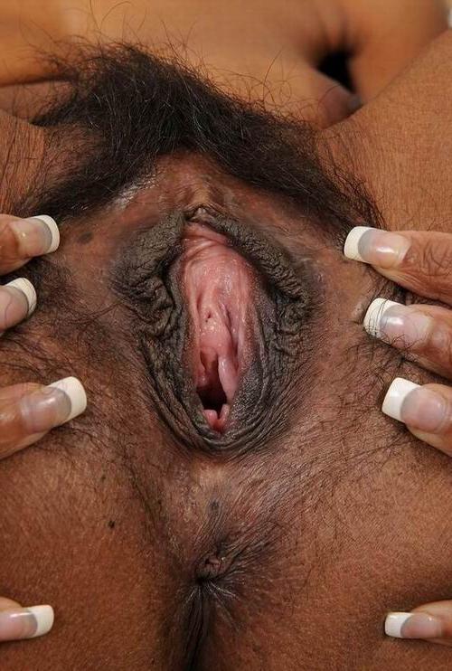 16P hairy african showing their pussies