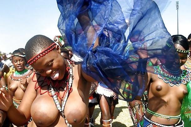 23P African tits 1