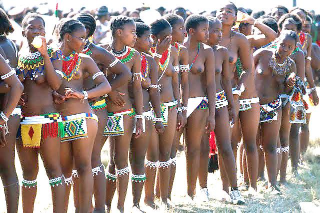 23P African tits 1