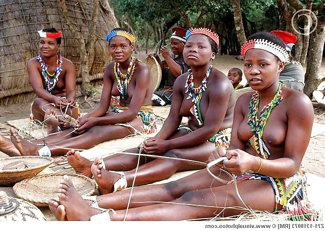23P African tits 1