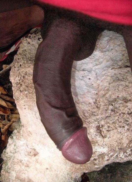 16P african guys showing their huge hoses