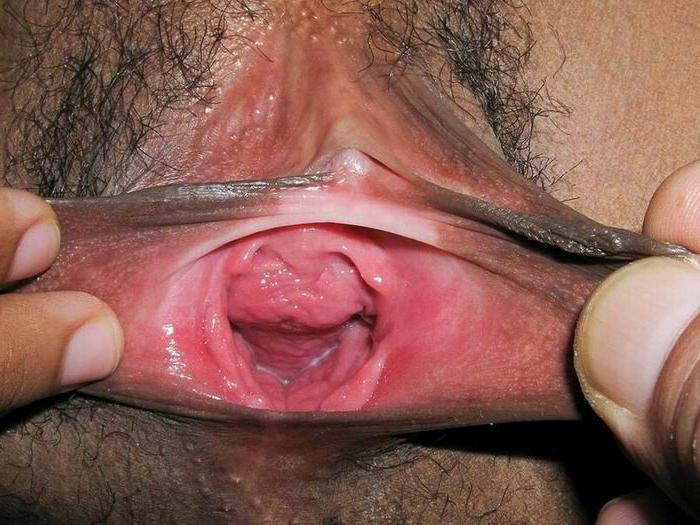 18P Hairy african amateur babe showing her up close