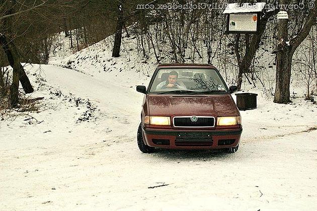 20P Outdoor public groupsex in the snow