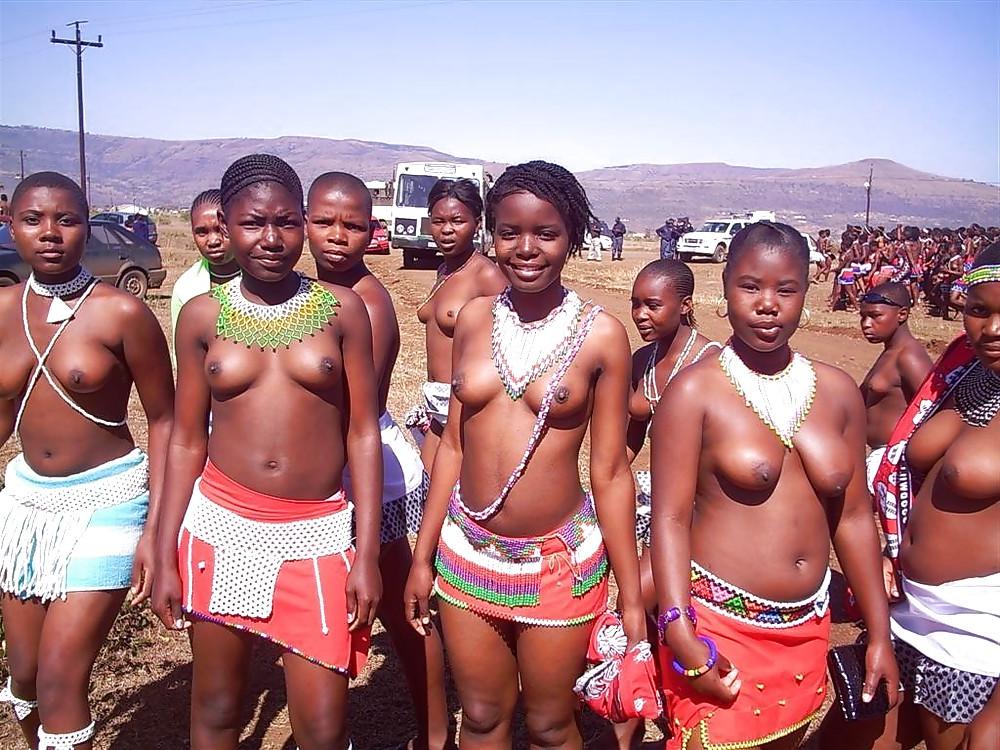 25P African tits