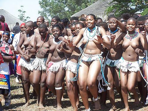 25P African tits 3