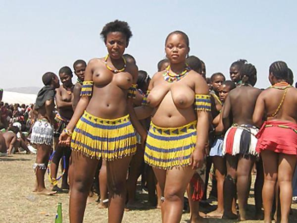 25P African tits 3