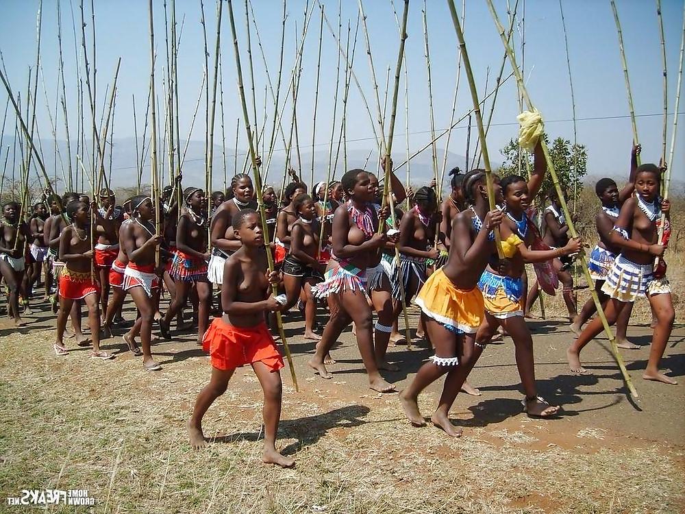 25P African Dream