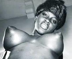 21P Natural African Tits 9