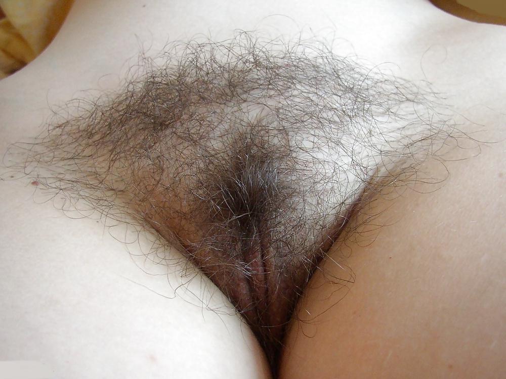 25P My collection of Russian hairy pussys - 9. Amateur.