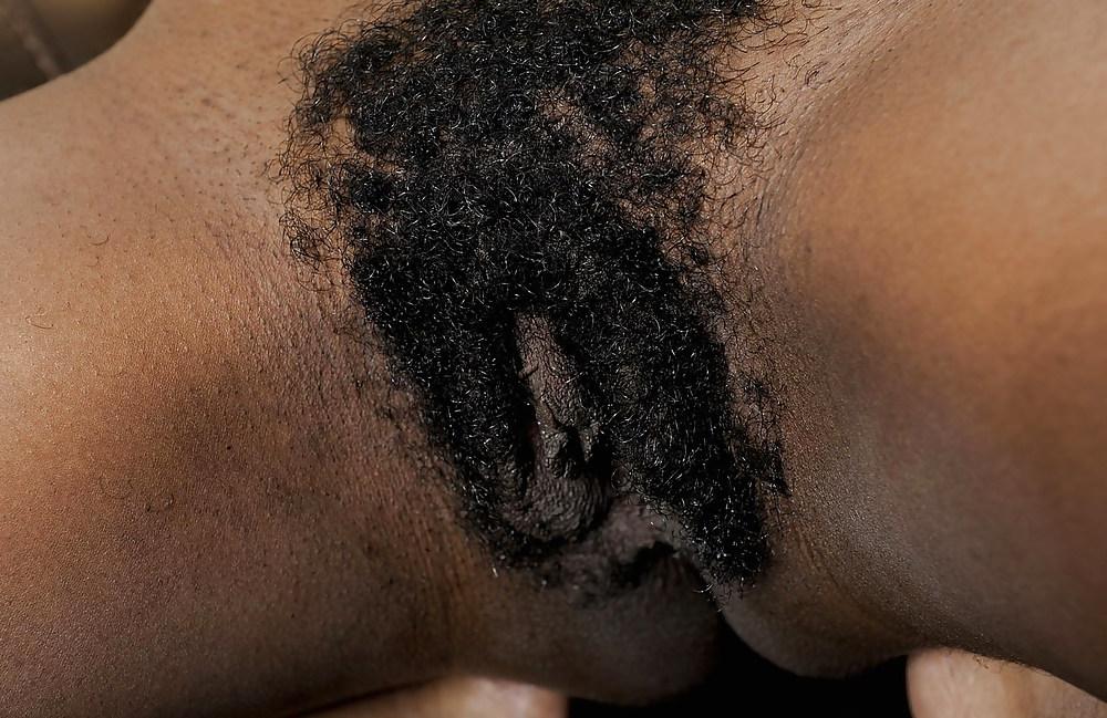 25P Hairy Amateur Babes 2
