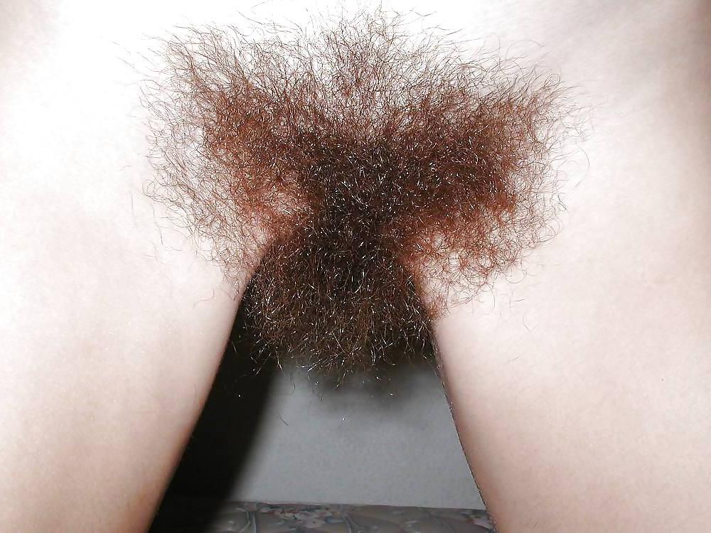 25P FIGA PELOSA AMATORIALE 6  HAIRY PUSSY AMATEUR 6 CONO PELUDO