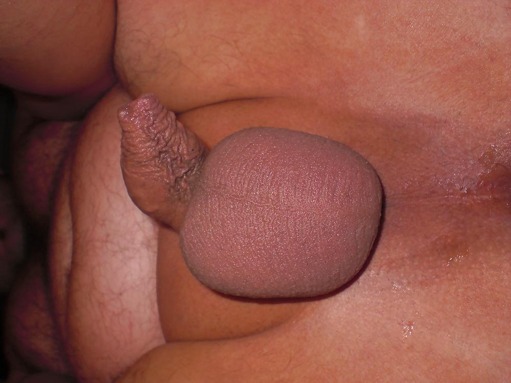 16P Dildo and Anal Plug